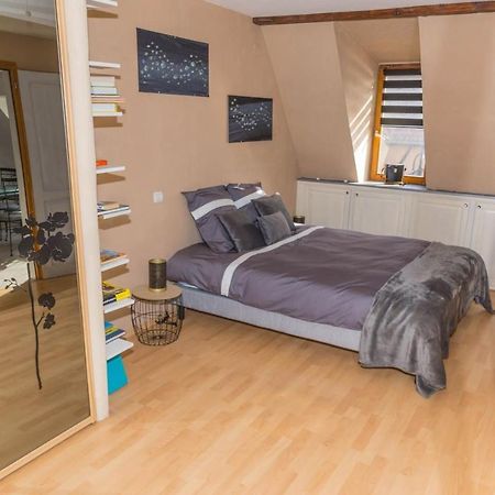 Charmant Appartement Alsacien Ribeauville  Ngoại thất bức ảnh