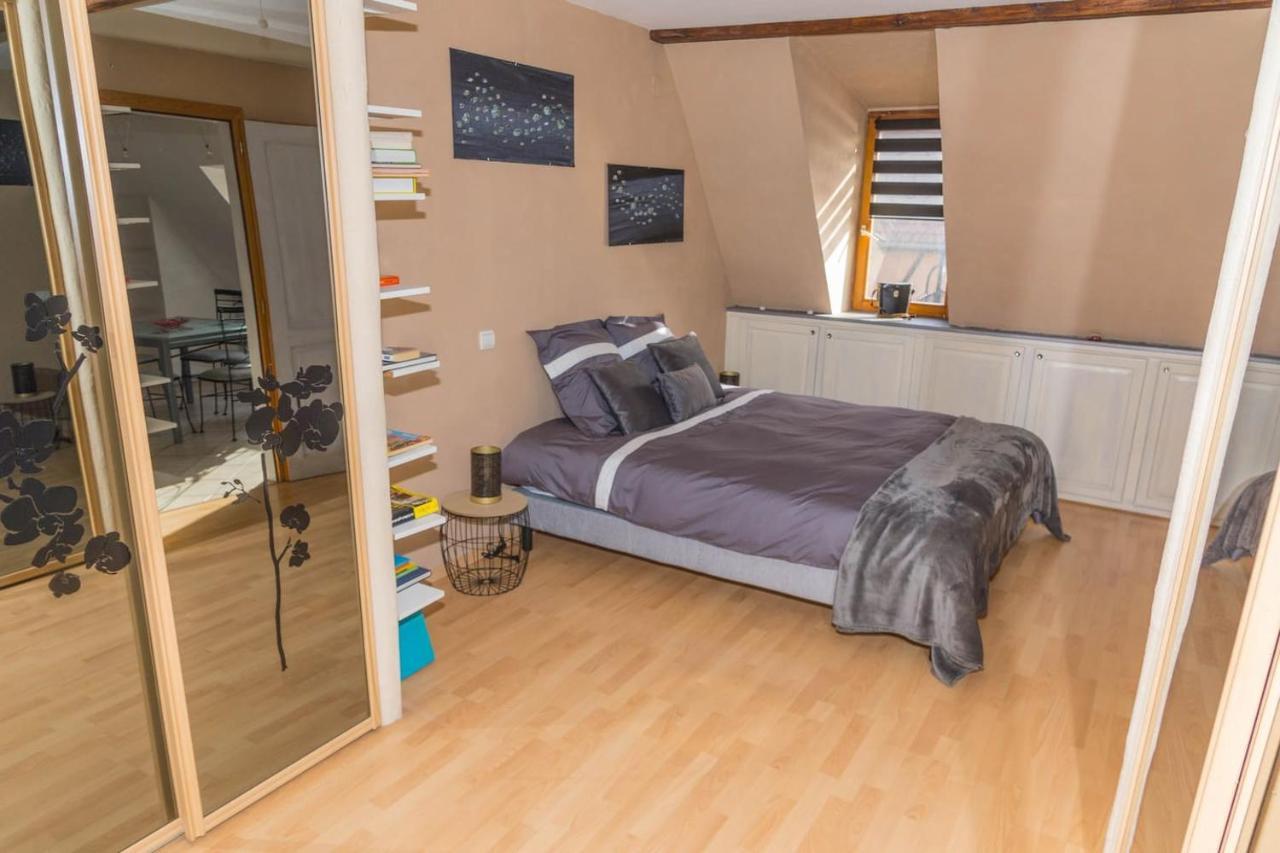 Charmant Appartement Alsacien Ribeauville  Ngoại thất bức ảnh