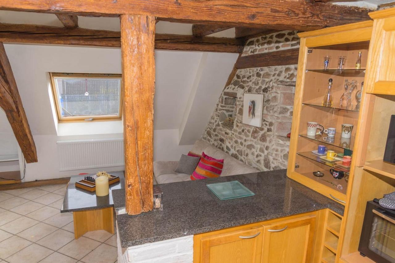 Charmant Appartement Alsacien Ribeauville  Ngoại thất bức ảnh